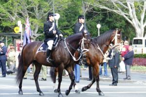 thm_Reserve Forces Day Parade (4).jpg